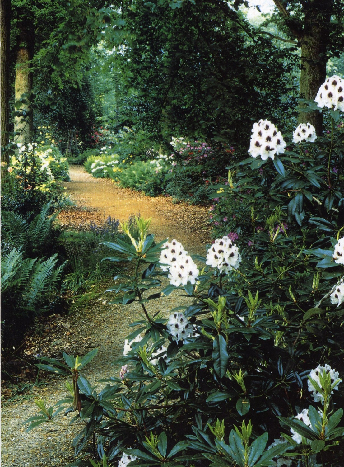 Doddington Place, Sittingbourne, Kent, ME9 0BB National Garden Scheme